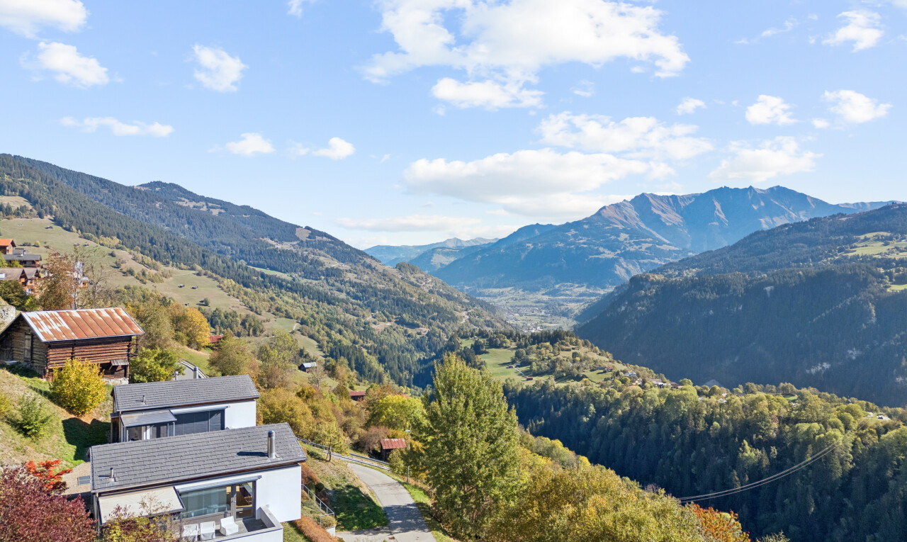 view of mountain background with a forest