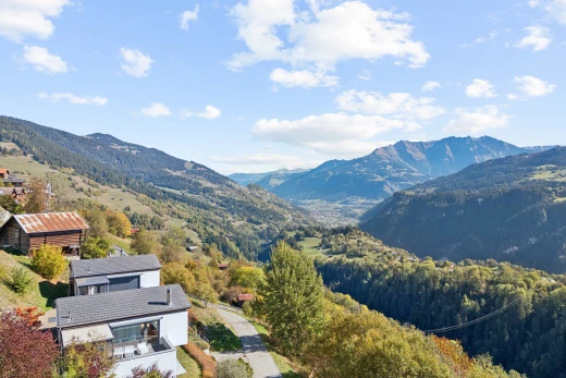 blick auf die berge mit blick auf die berge, mountain view, day time, waldblick, und forest view
