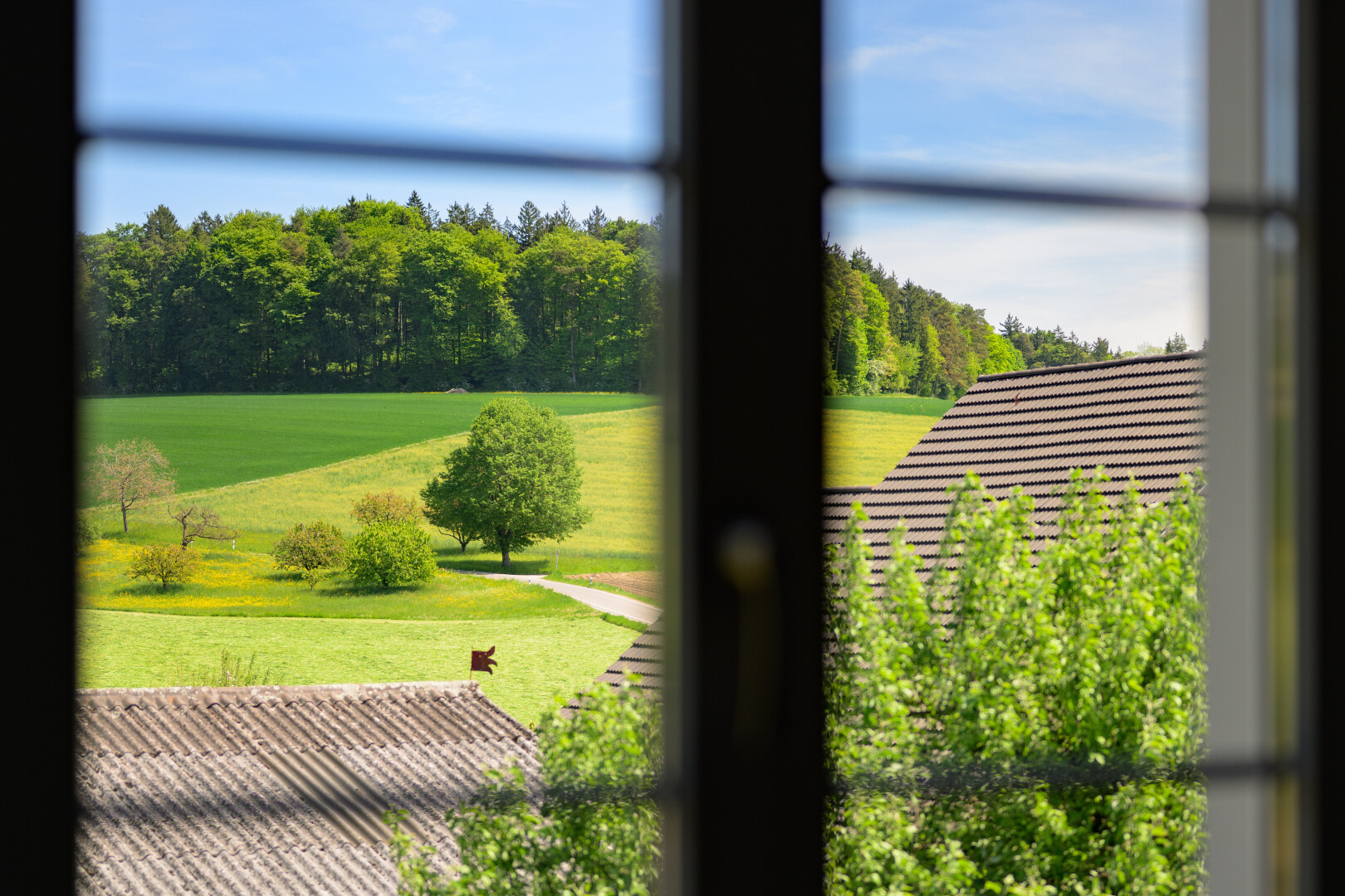 view of garden
