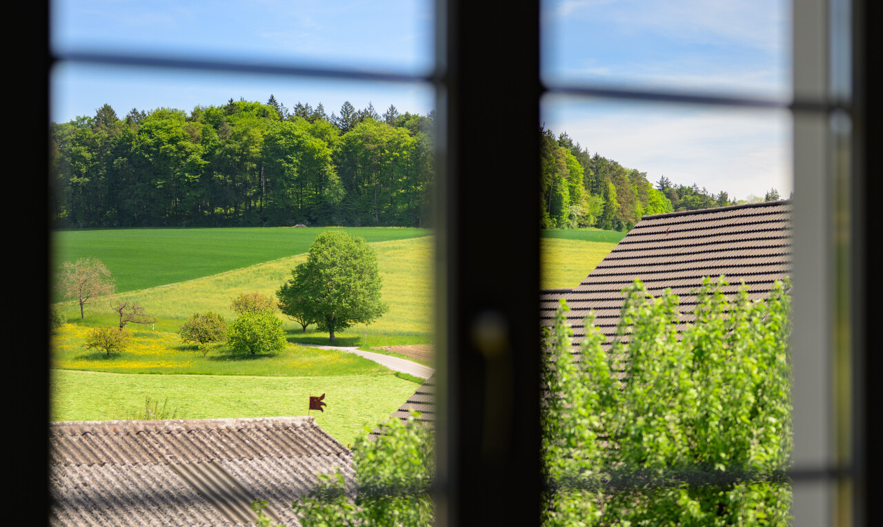 view of garden