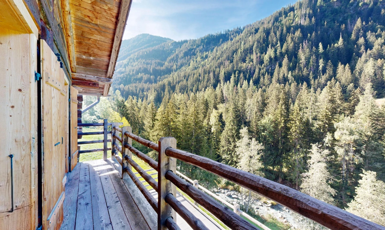 balcon avec forest view, vue sur la forêt, view focus, day time, et from property