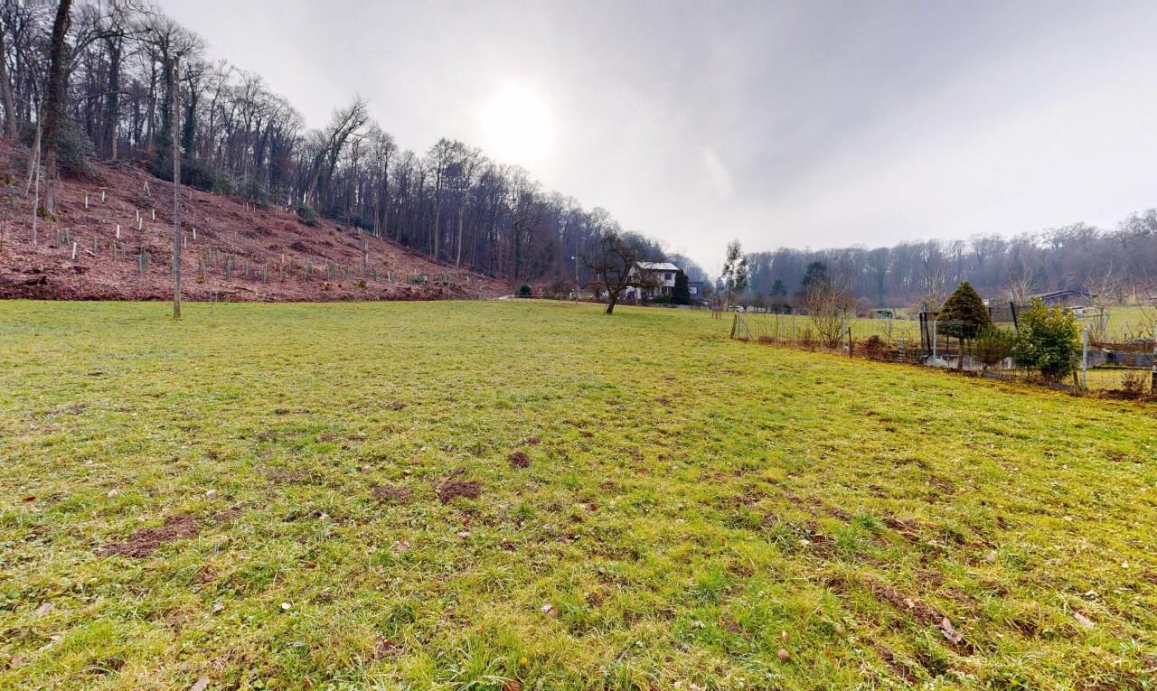 garten mit rural view, ländliche aussicht, rasen, und overcast