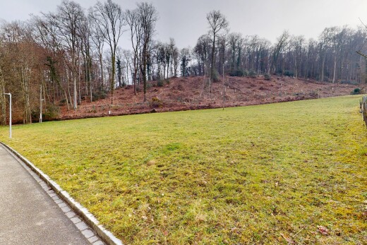 jardin avec overcast et pelouse