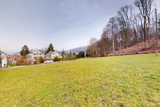 garden featuring a yard