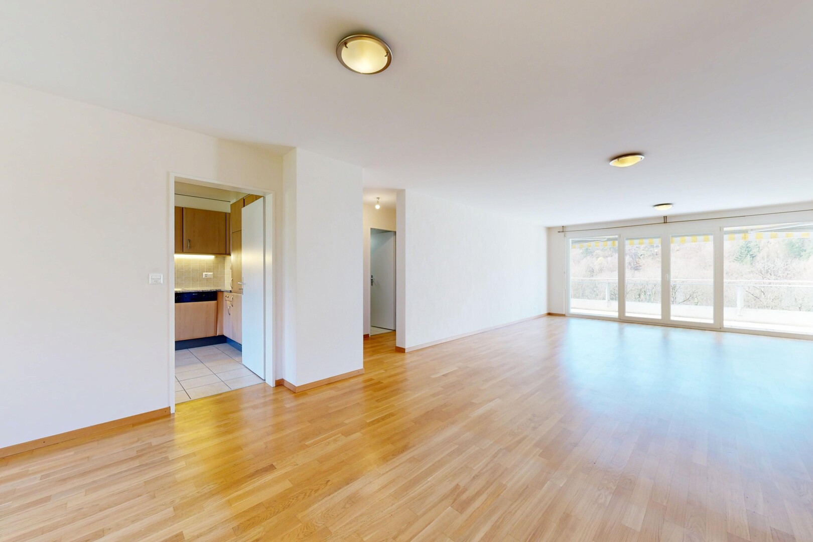 pièce vide avec sol en finition bois, wood finish floor, cloison sèche, drywall, et lumière naturelle
