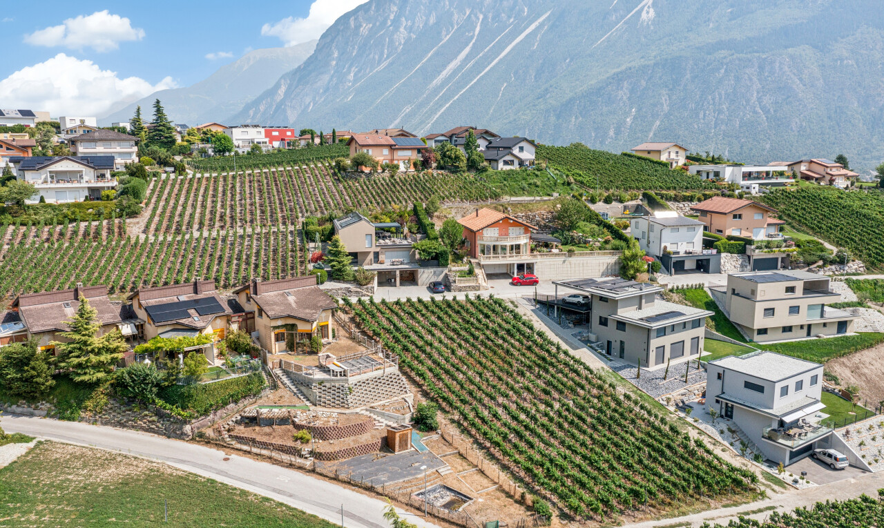 vue sur la montagne avec vue sur le verger/agriculture, orchard / agricultural view, vue sur la montagne, mountain view, et day time