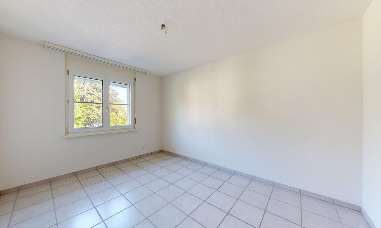 leerer raum mit light floor, gipskartonwand, drywall, natürliches licht, und natural light