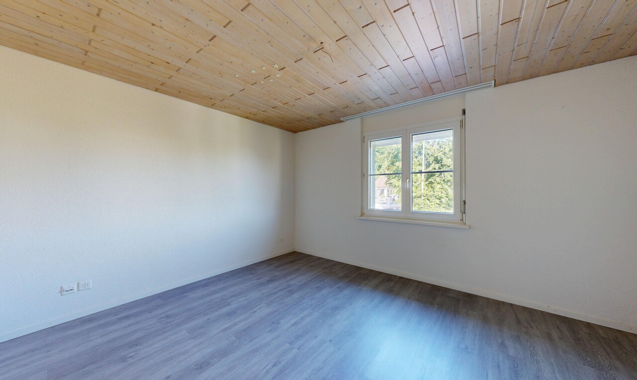 leerer raum mit wood ceiling, holzdecke, drywall, gipskartonwand, und natural light