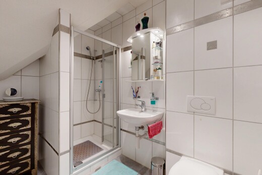 salle de bains avec mur en carrelage, tile wall, miroir, salle de bain complète, et douche