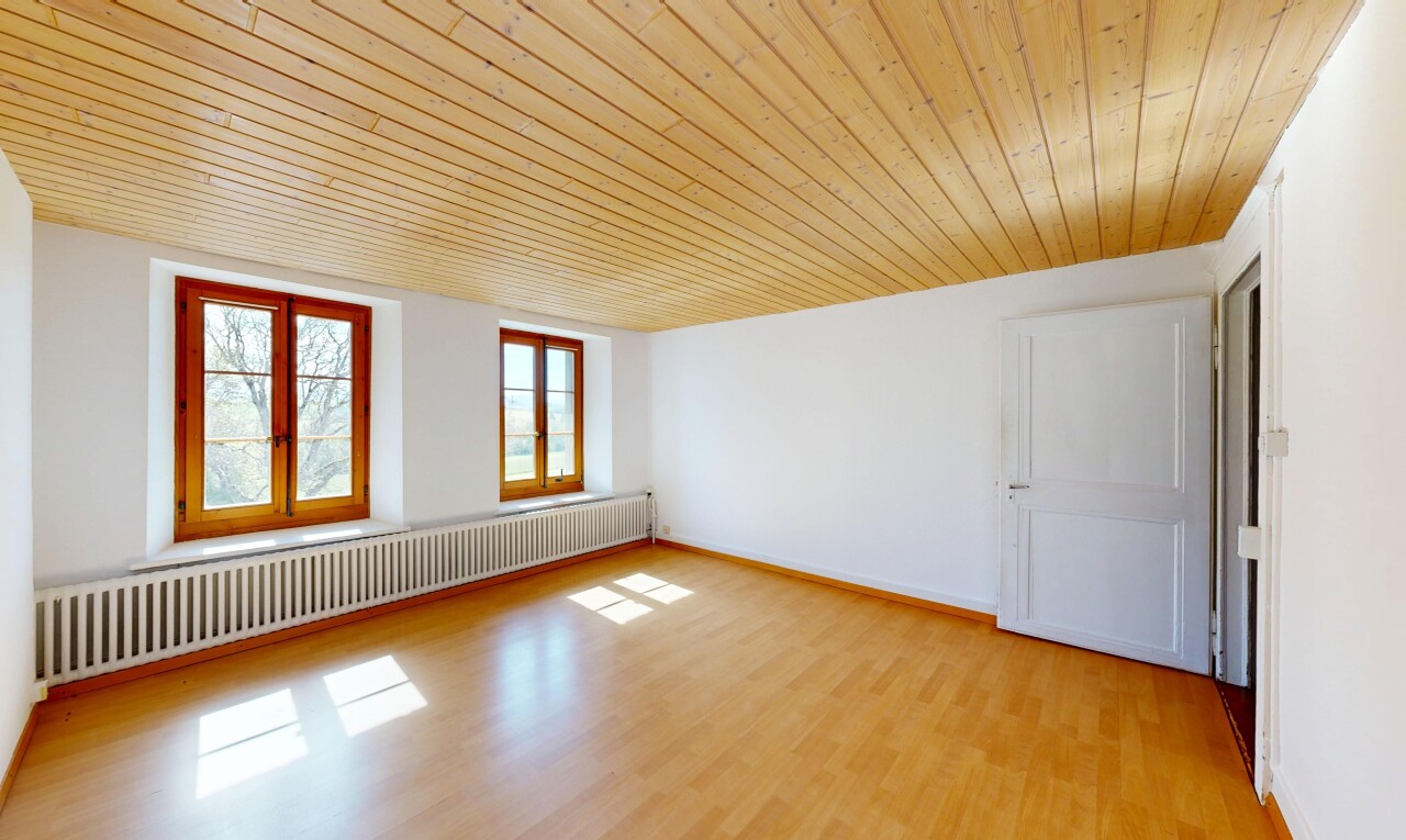 pièce vide avec radiateur, lumière naturelle, natural light, plafond en bois, et wood ceiling
