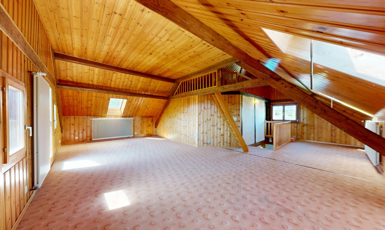 pièce vide avec inside property, puits de lumière, plafond bas, low ceiling, et mur en bois