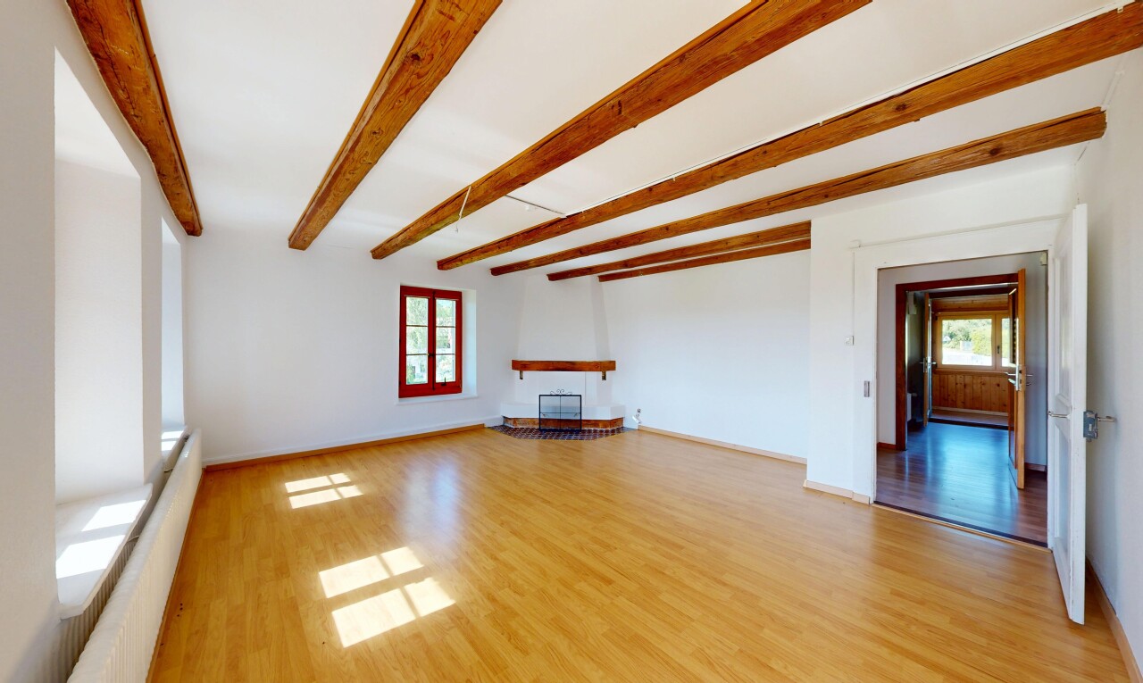 pièce vide avec inside property, cheminée, sol en finition bois, wood finish floor, et lumière naturelle