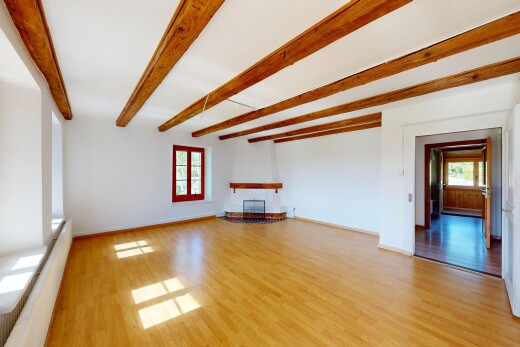 pièce vide avec inside property, cheminée, sol en finition bois, wood finish floor, et lumière naturelle
