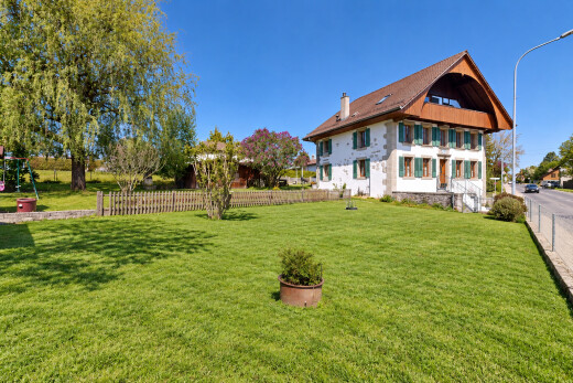 außenansicht mit straßenlaternen, zaun, rasen, schornstein, und day time