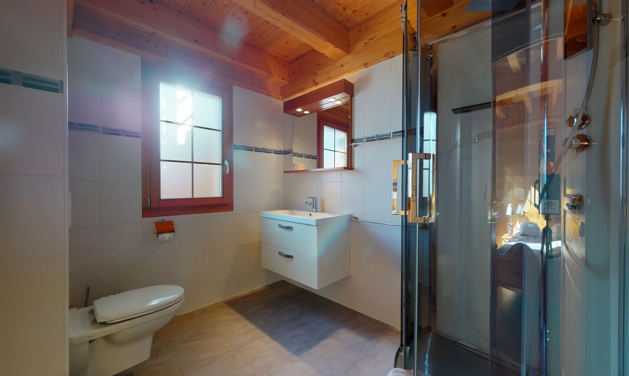 badezimmer mit einer fülle von natürlichen licht, toilette, großer waschtisch, spiegel und dusche