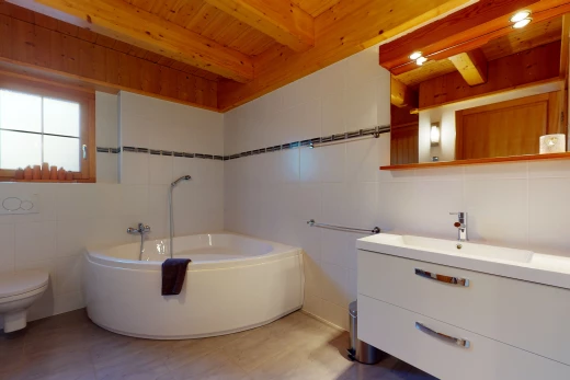 badezimmer mit natürlicher licht, toilette, spiegel, wanne und eitelkeit