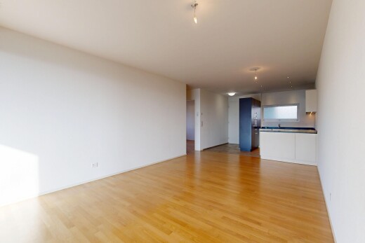 pièce vide avec sol en finition bois, wood finish floor, inside property, cloison sèche, et drywall