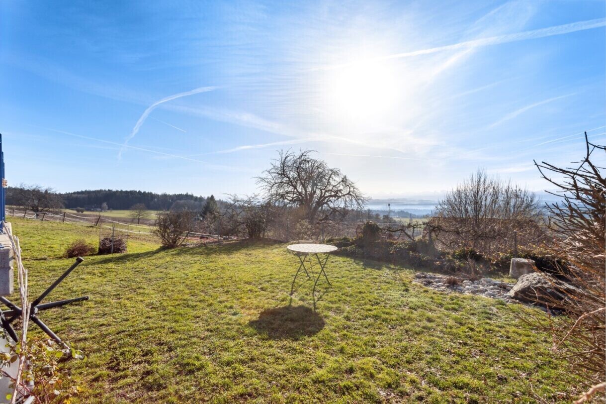 garden with a lawn and a rural view
