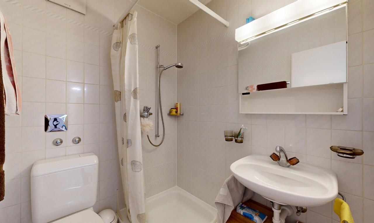 salle de bains avec mur en carrelage, tile wall, miroir, douche, et salle de bain complète