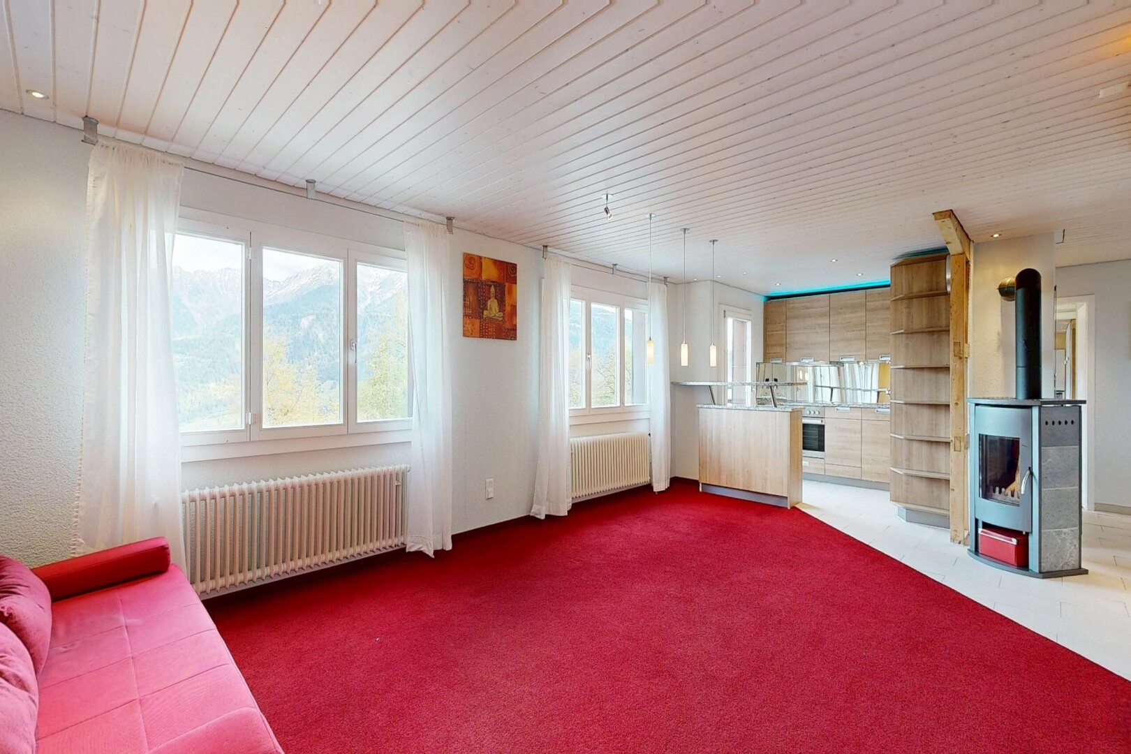 salon avec poêle à bois, radiateur, carpet, moquette, et inside property