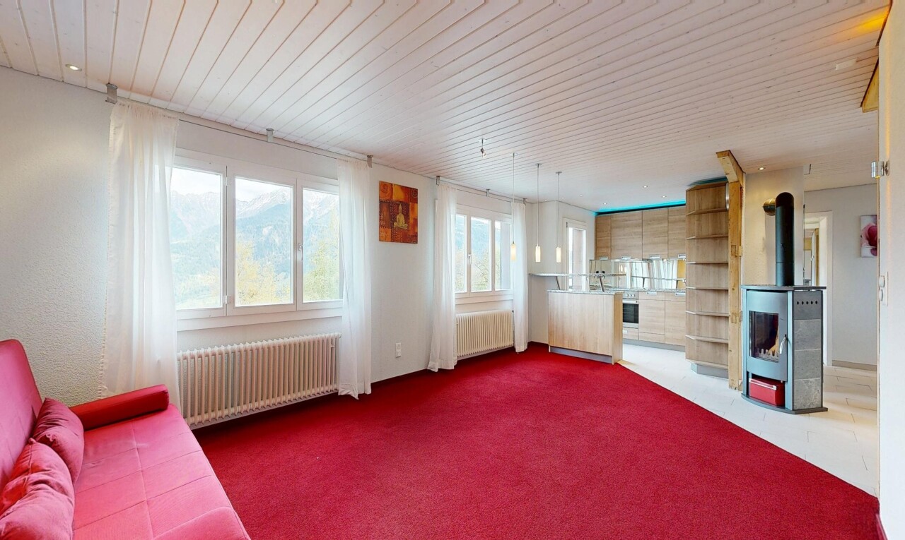salon avec poêle à bois, radiateur, carpet, moquette, et inside property