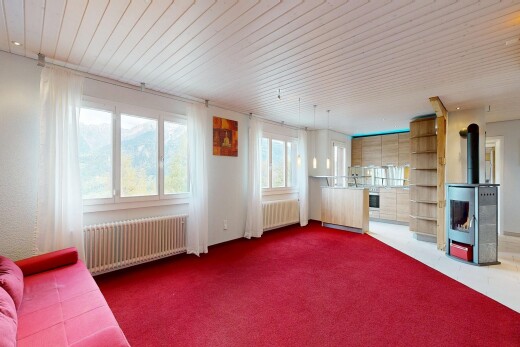 salon avec poêle à bois, radiateur, carpet, moquette, et inside property