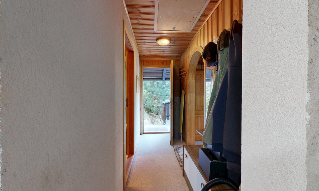 halle / korridor mit klapptreppe, teppich, carpet, inside property, und natürliches licht