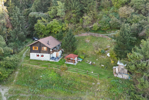 façade avec property visible, pelouse, clôture, terrasse, et vue sur la forêt