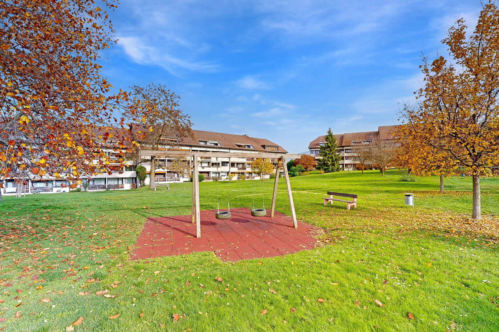 jardin avec day time et pelouse
