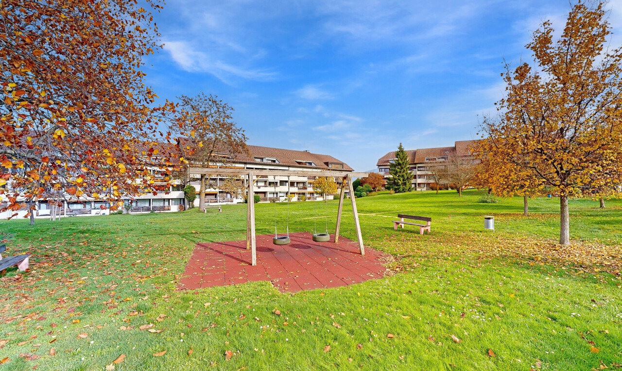 jardin avec day time et pelouse