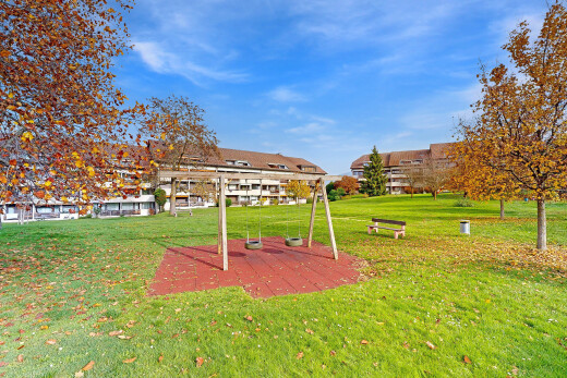 jardin avec day time et pelouse