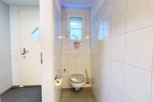 bad mit toilette, gäste-wc, natürliches licht, natural light, und fliesenboden