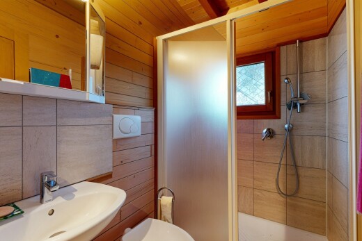 bad mit holzwand, wood wall, dusche, komplettes badezimmer, und wood ceiling