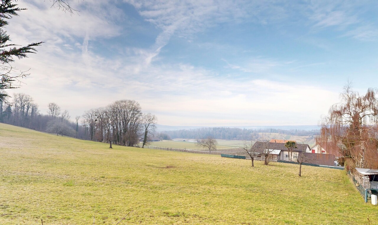 jardin avec vue rurale, rural view, pelouse, et day time
