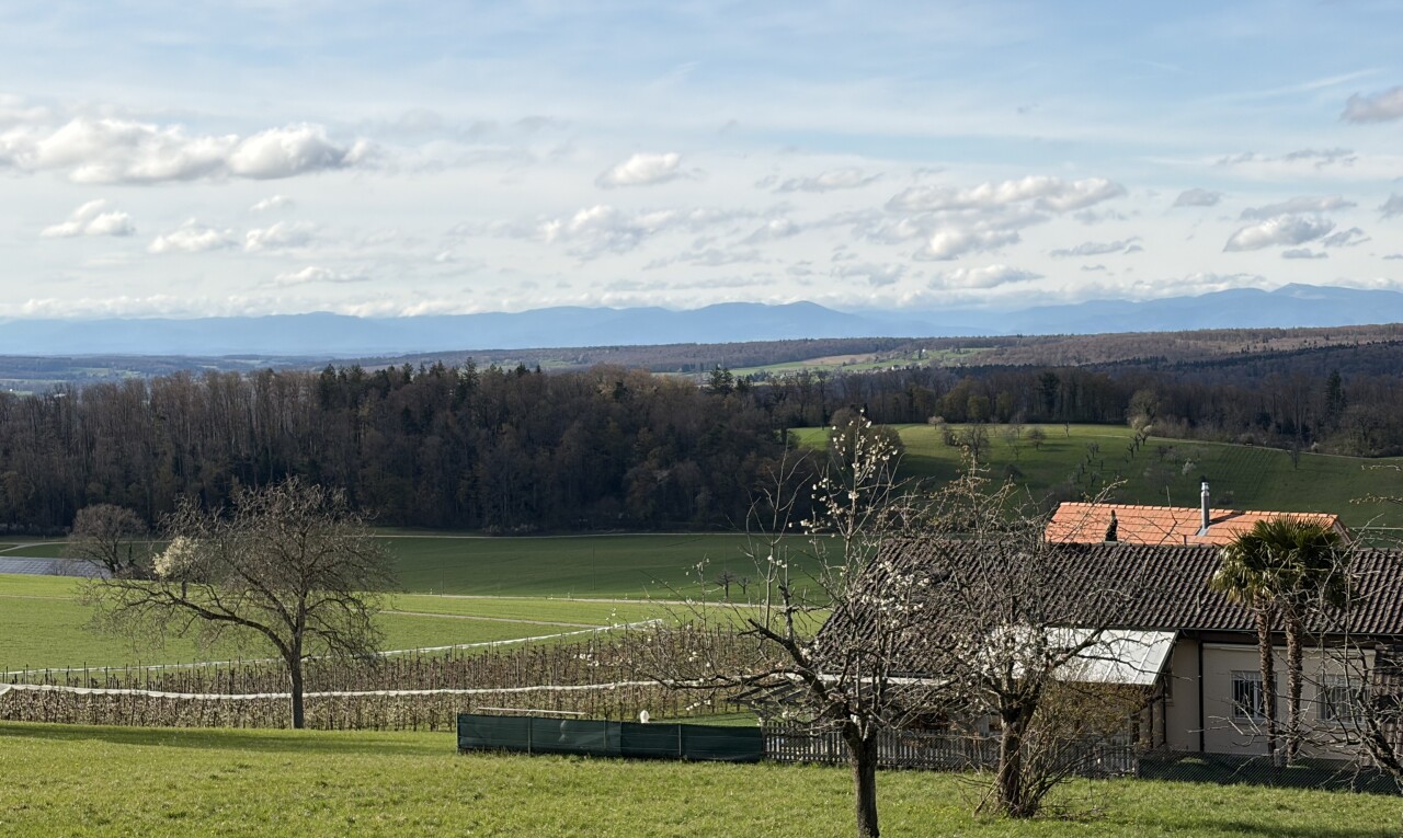 vue sur la montagne avec day time, rural view, et vue rurale