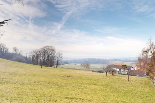 jardin avec vue rurale, rural view, pelouse, et day time