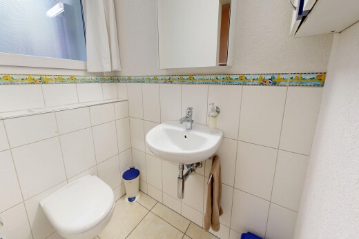 bad mit gäste-wc, toilette, fliesenwand, tile wall, und spiegel