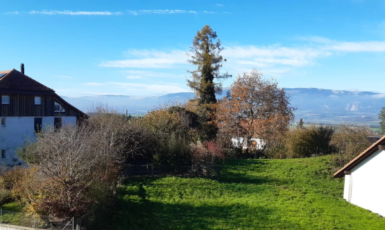 vue sur la montagne avec vue sur la montagne