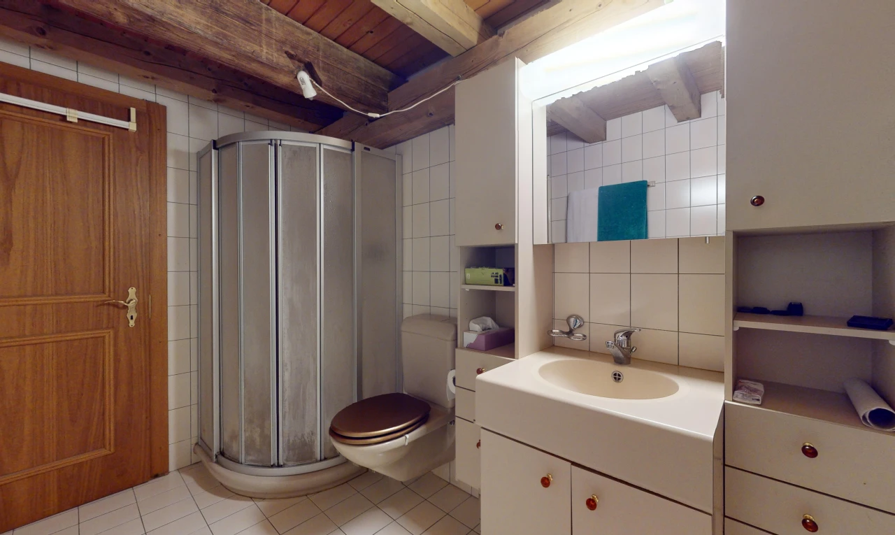 salle de bains avec crédence, carrelage, douche, meuble-lavabo, et vasque