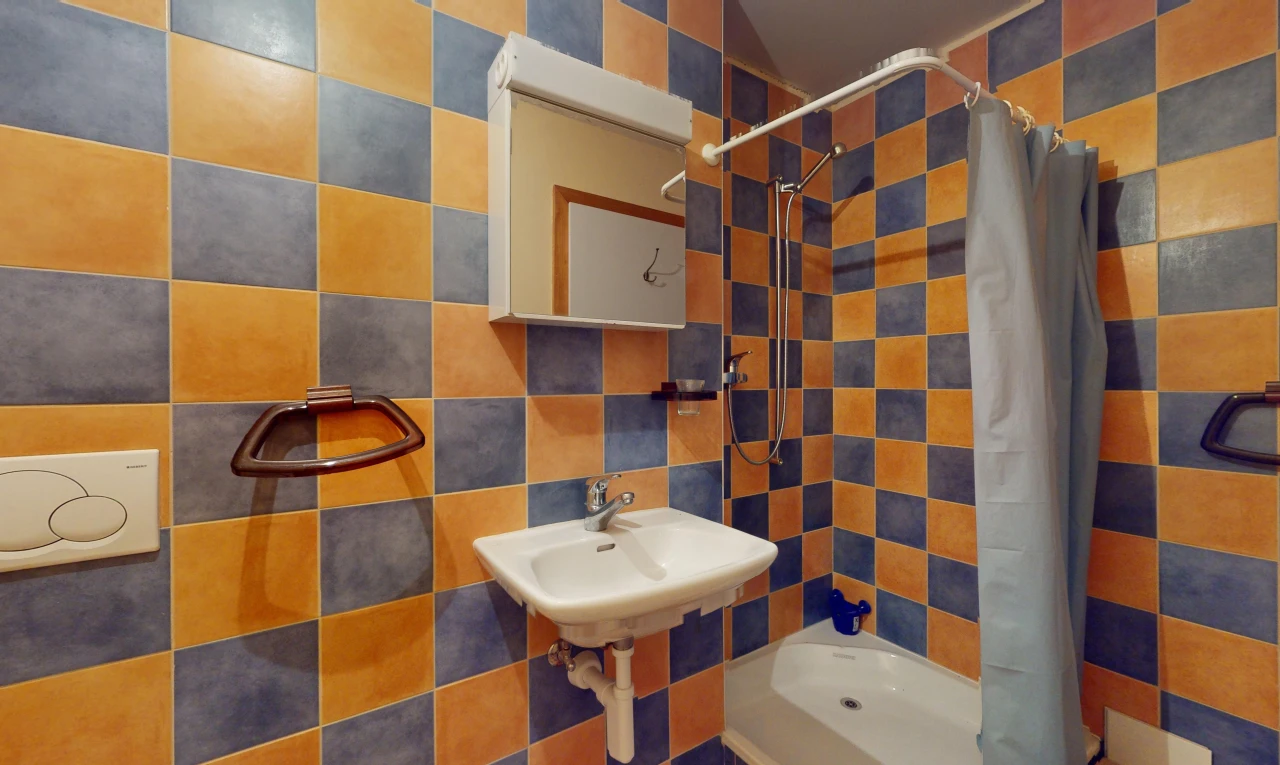 salle de bains avec douche, miroir, mur carrelé, et vasque