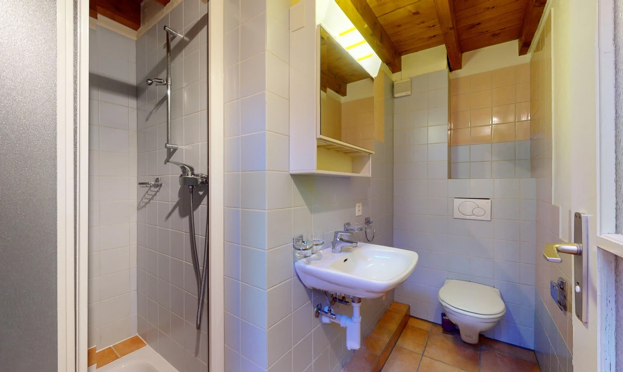 salle de bains avec plafond de bois, mur carrelé, poutres apparentes, miroir, et douche