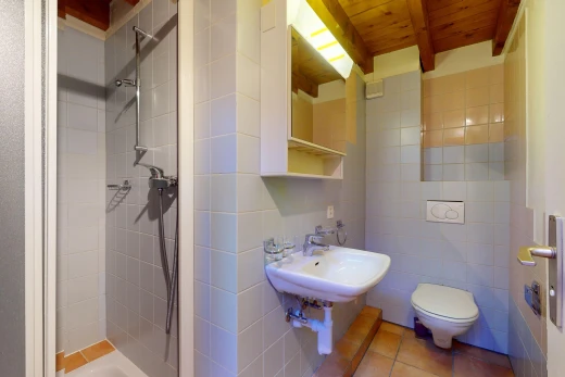 salle de bains avec plafond de bois, mur carrelé, poutres apparentes, miroir, et douche