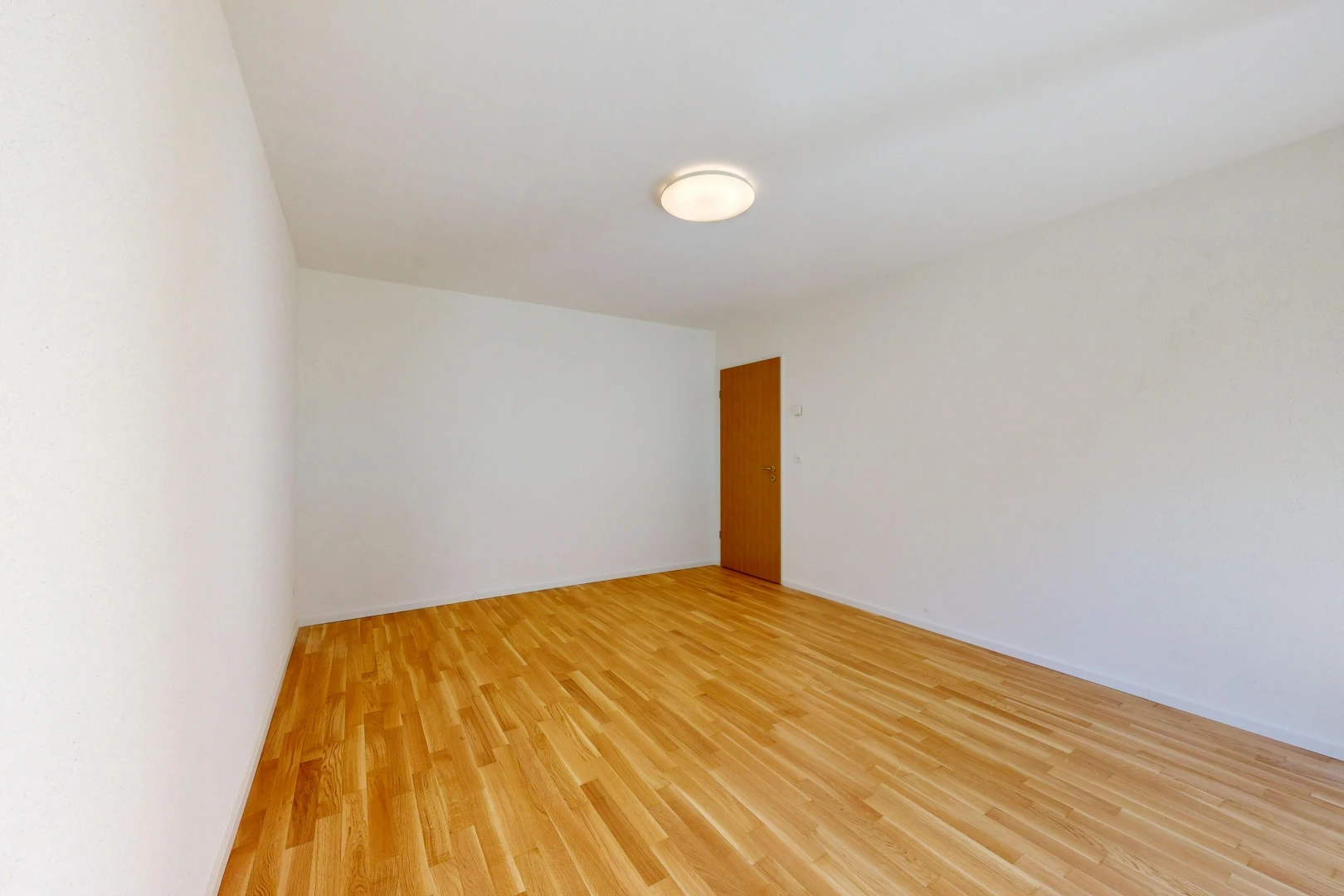 leerer raum mit gipskartonwand, drywall, holzfußboden, wood finish floor, und inside property