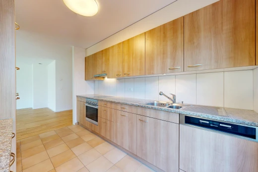 küche mit geschirrspülmaschine, light countertops, light floor, waschbecken, und light brown cabinets