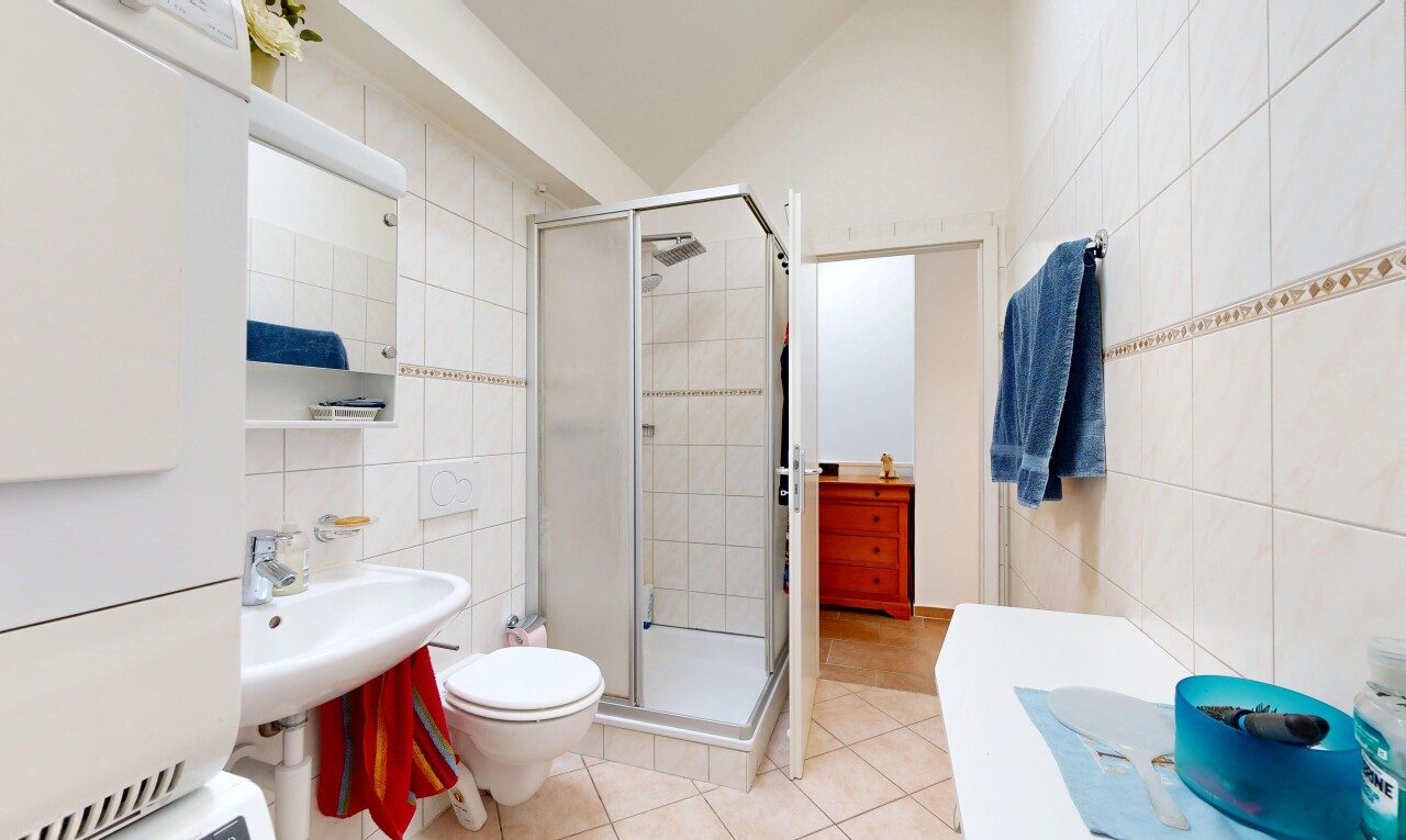 salle de bains avec mur en carrelage, tile wall, salle de bain complète, douche, et miroir