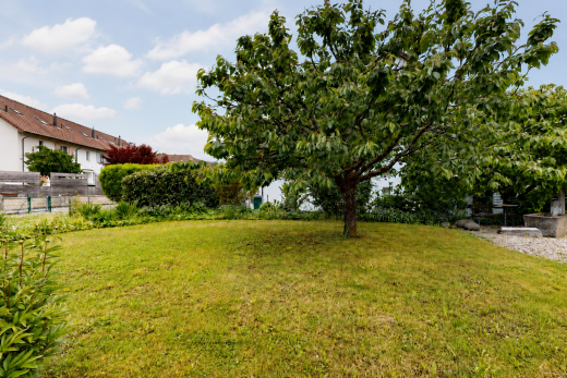 jardin avec day time, pelouse, et clôture
