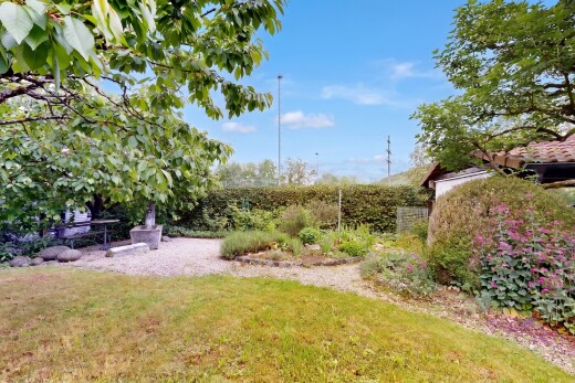 view of garden