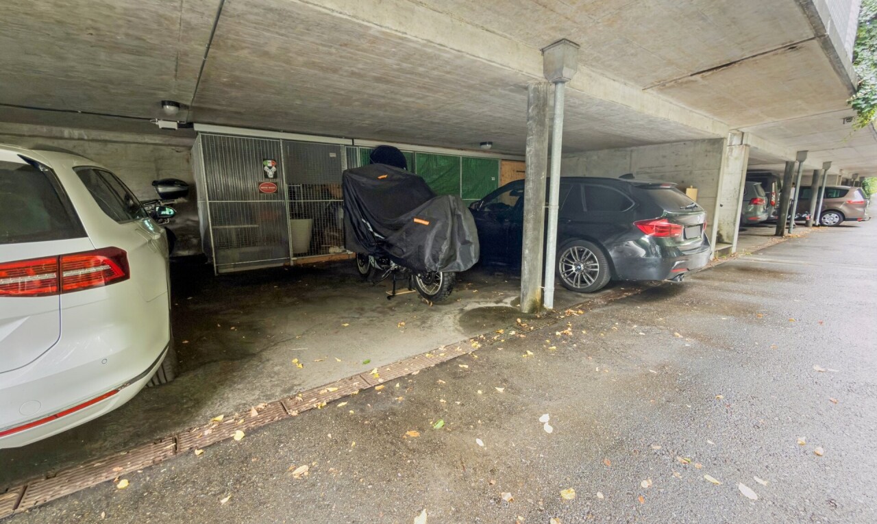parken mit parkgarage