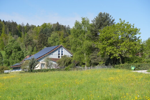 außenansicht mit property visible, vertikale verkleidung, day time, waldblick, und forest view