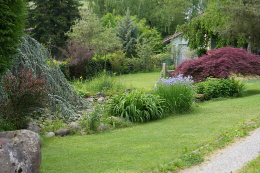 garten mit rasen